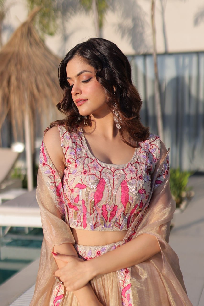GulAura Beaded Blush Lehenga Choli Set