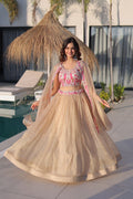 GulAura Beaded Blush Lehenga Choli Set