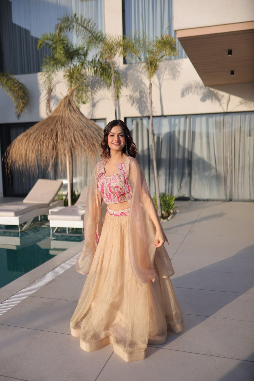GulAura Beaded Blush Lehenga Choli Set