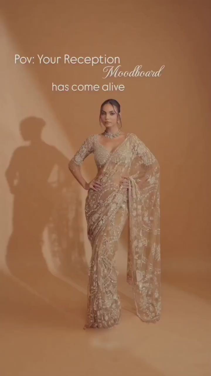 Bollywood Beige Net Sequins Saree (DF-3484)